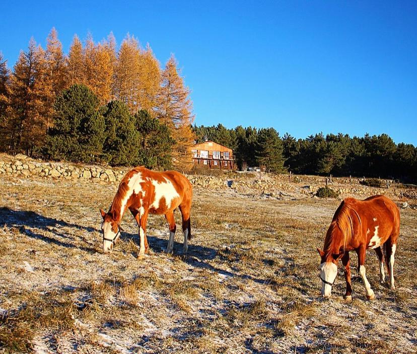 לס אנגל Gite Ranch Le Serpolet מראה חיצוני תמונה