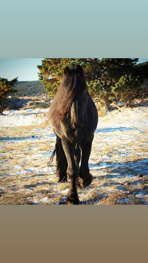 לס אנגל Gite Ranch Le Serpolet מראה חיצוני תמונה