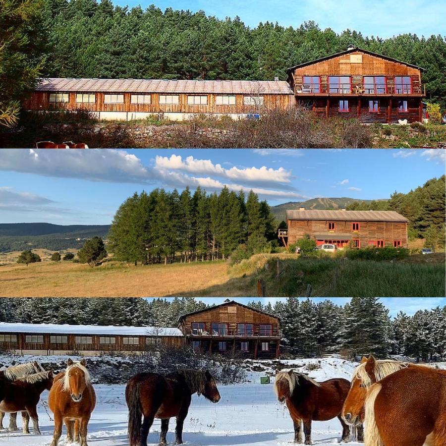 לס אנגל Gite Ranch Le Serpolet מראה חיצוני תמונה
