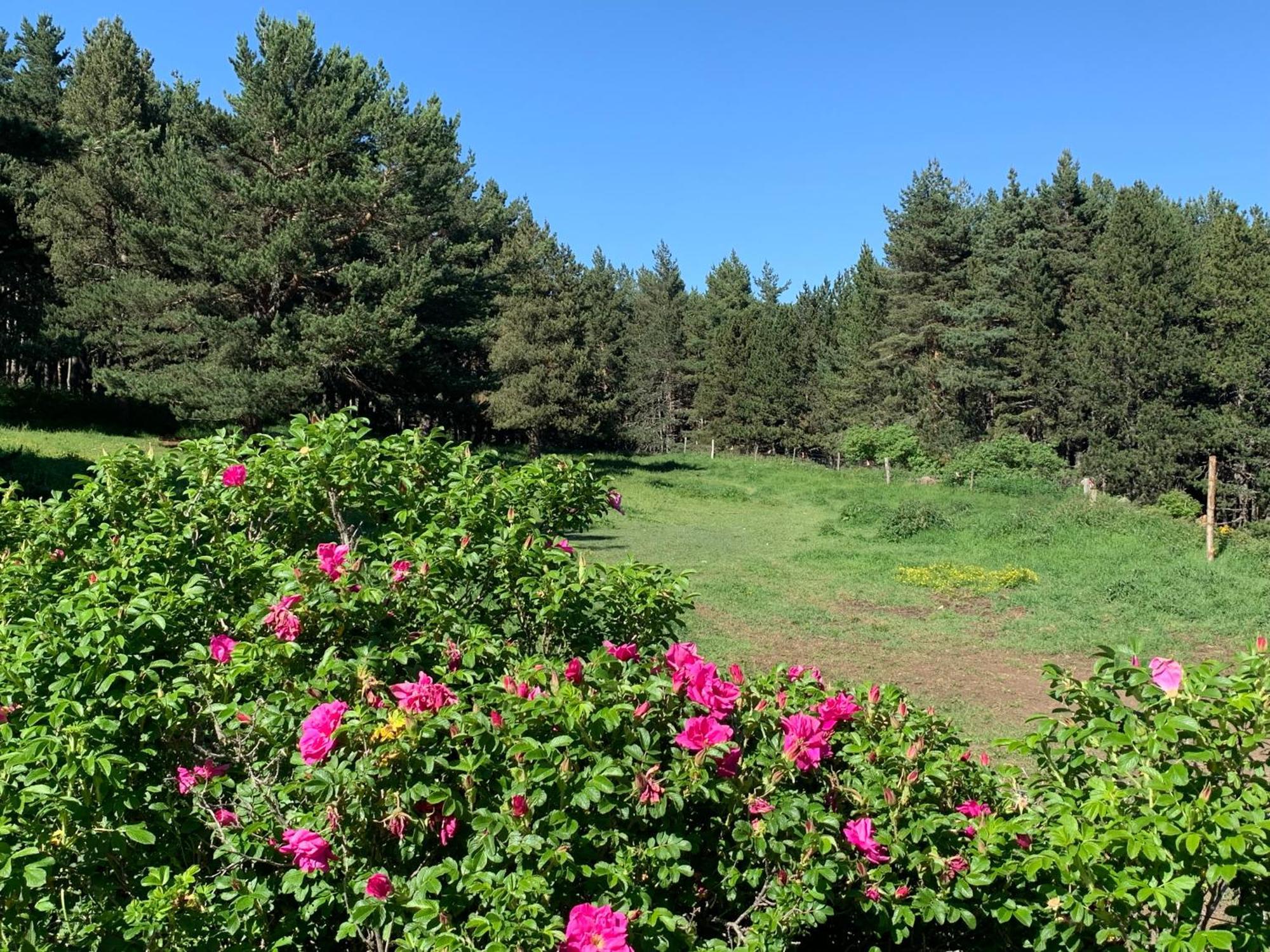 לס אנגל Gite Ranch Le Serpolet מראה חיצוני תמונה